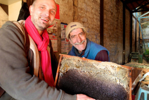 Ein Geschenk von einem türkischen Bienenkastenbauer - ein ganzer Honigrahmen!